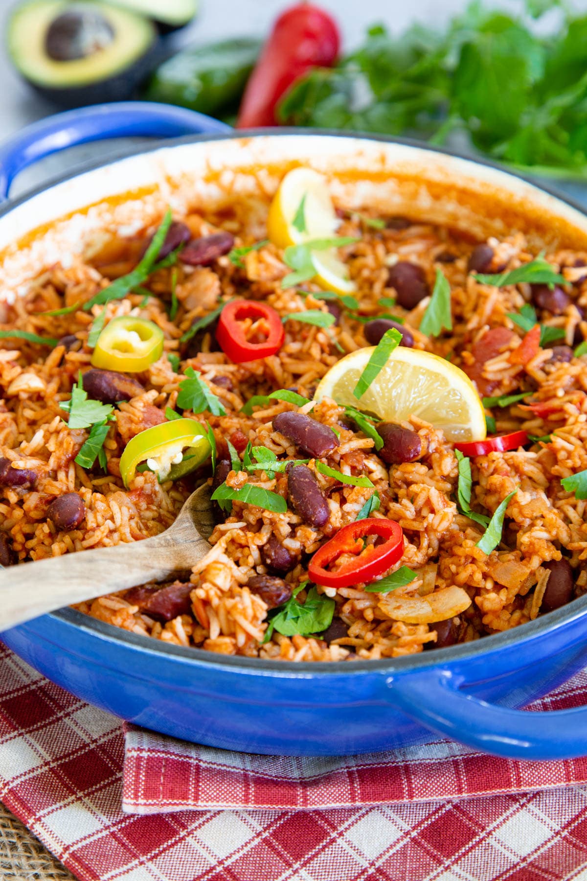 pinto-beans-and-rice-dinner-at-the-zoo